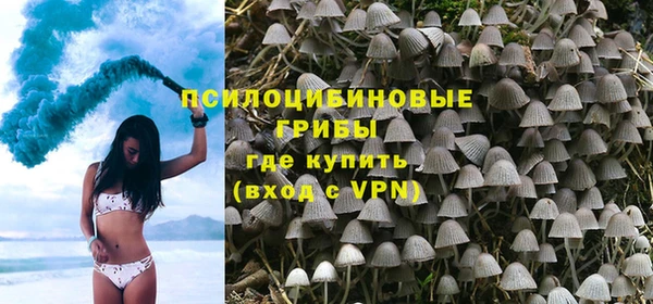 мяу мяу мука Белоозёрский