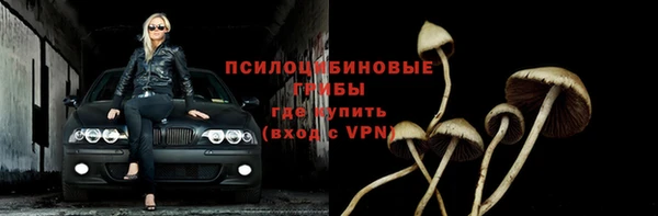 спиды Белокуриха