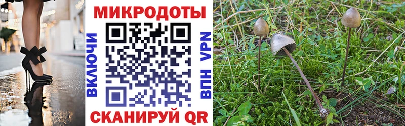 Галлюциногенные грибы Cubensis  Мосальск 